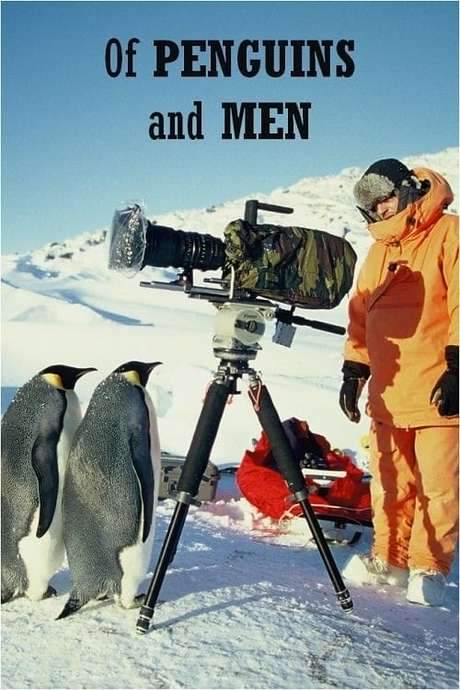 Of Penguins and Men